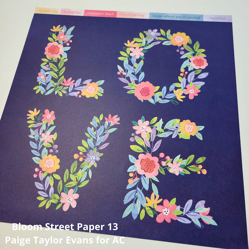 Bloom Street Paper 13 AC for Paige Taylor Evans